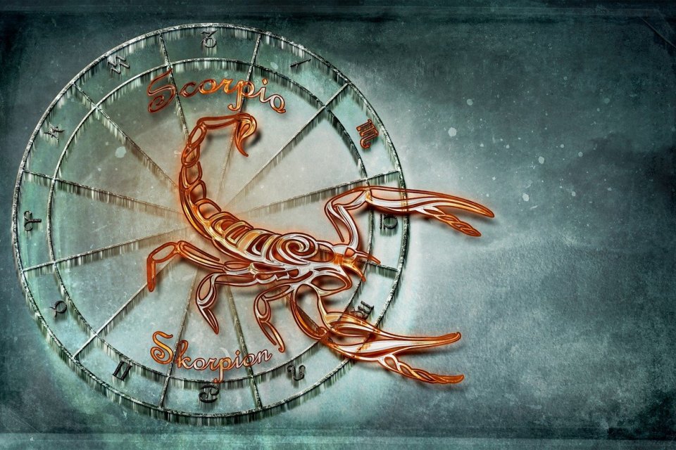 Scorpion