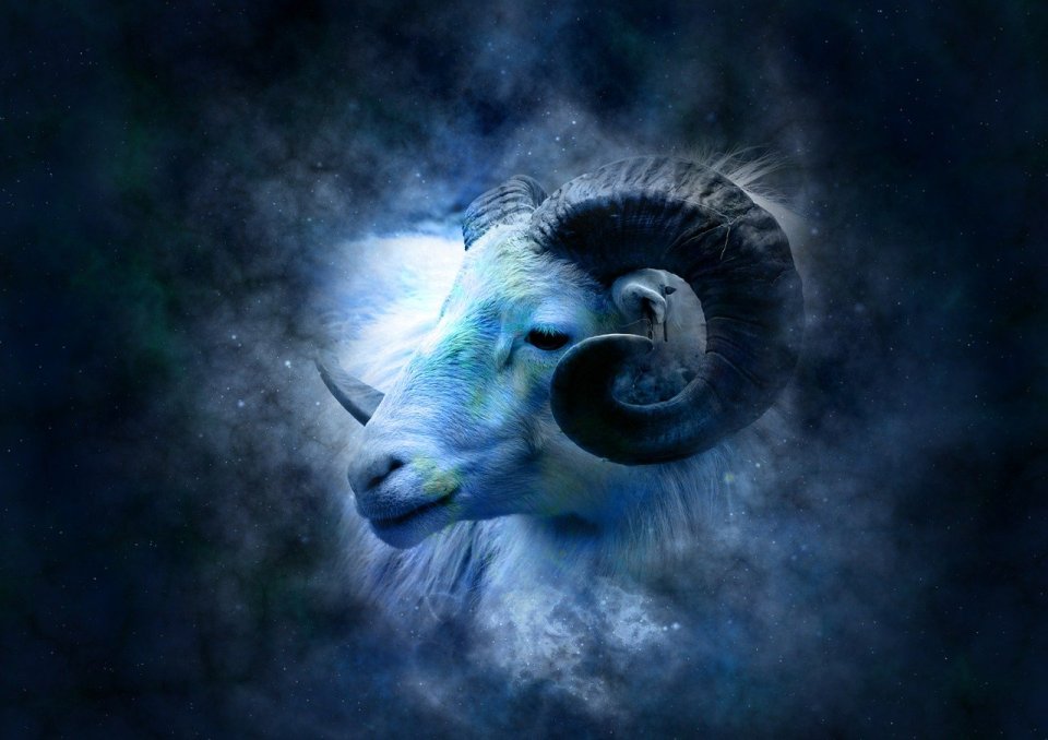 Capricorn