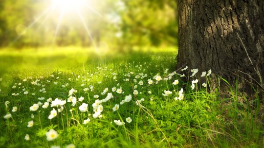 Mesaje şi urări originale de Florii. Cui trebuie să îi spui La mulţi ani pe 28 aprilie 2024