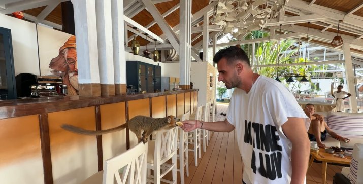 Influencerul, în complexul lui Radu Mazăre