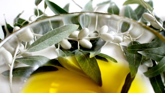 Cum alegi cel mai bun ulei de măsline? La ce trebuie să fii atent